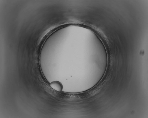 X0000090461318200708031232