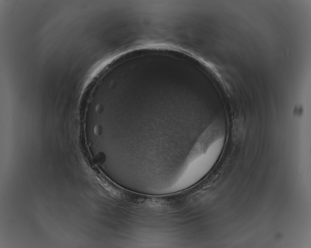 X0000090461319200708031232