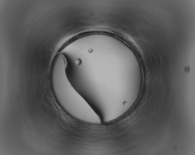 X0000090461320200708031232
