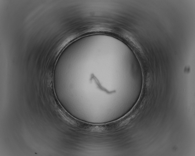 X0000090461321200708031232
