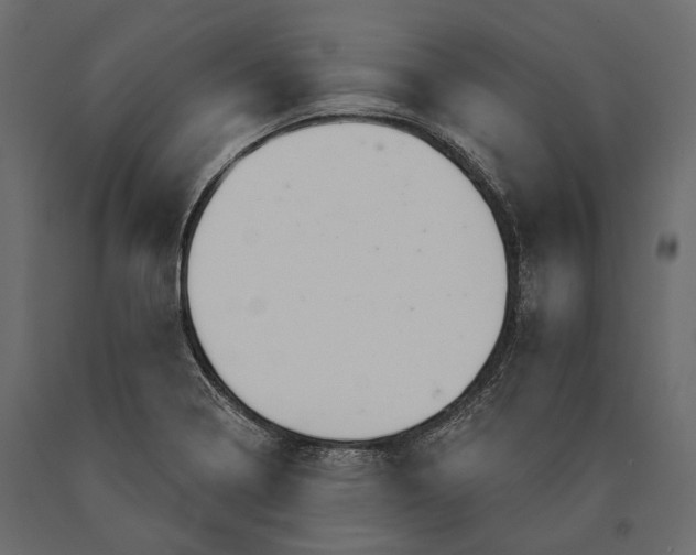 X0000090461322200708031232