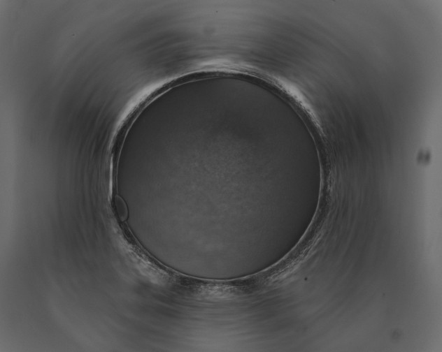 X0000090461323200708031232