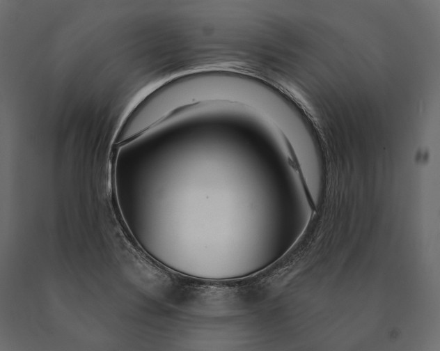 X0000090461324200708031232