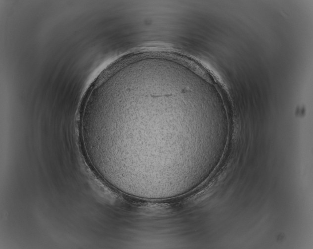 X0000090461325200708031232