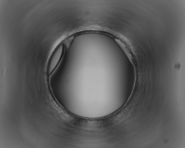 X0000090461326200708031232