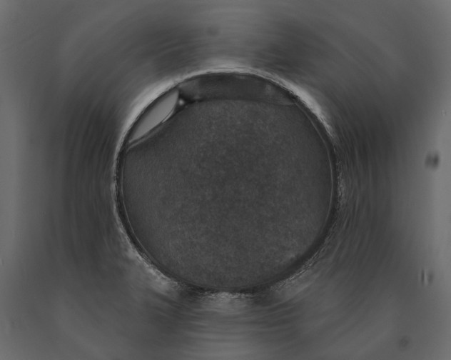X0000090461327200708031232