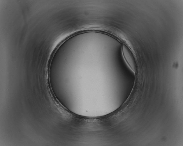 X0000090461328200708031232