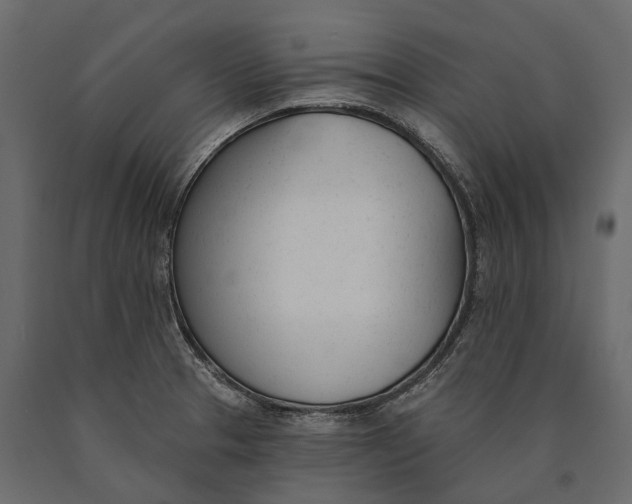 X0000090461329200708031232