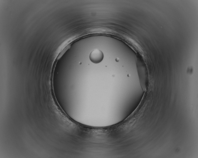 X0000090461330200708031232