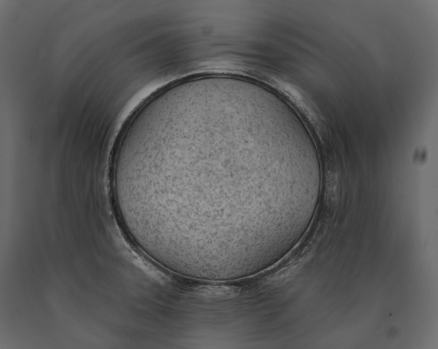 X0000090461331200708031232