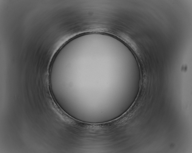 X0000090461332200708031232