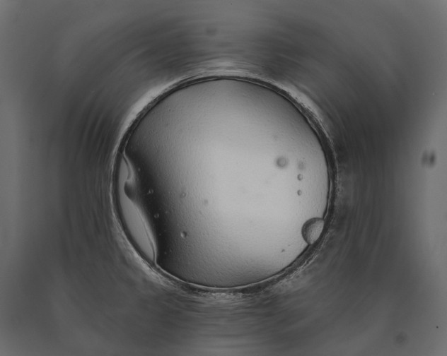 X0000090461333200708031232