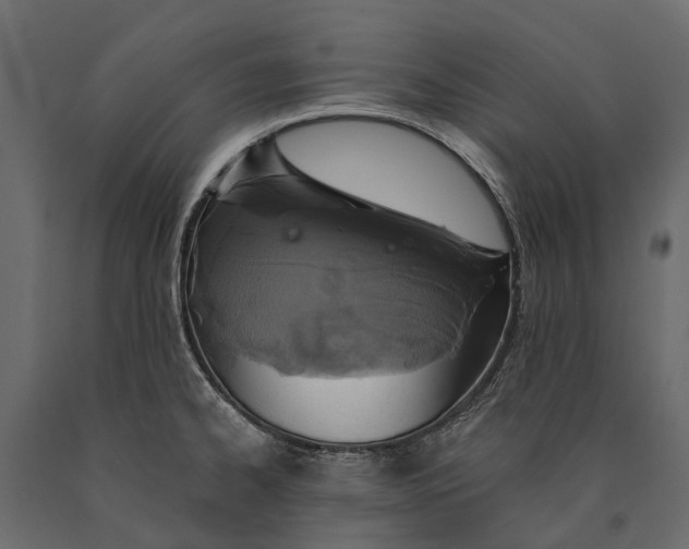 X0000090461334200708031232