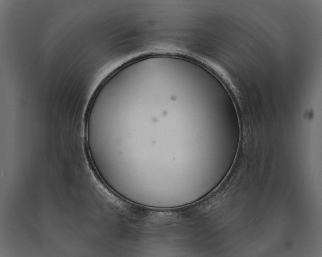 X0000090461335200708031232