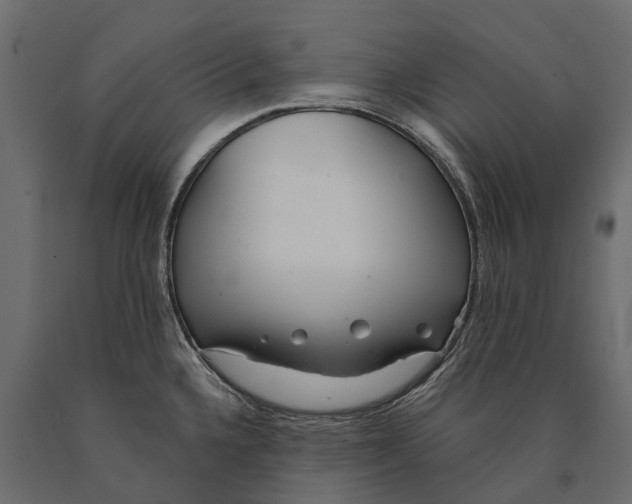 X0000090461336200708031232