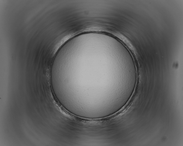 X0000090461337200708031232