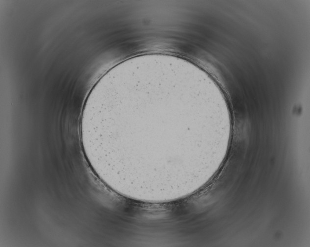 X0000090461338200708031232