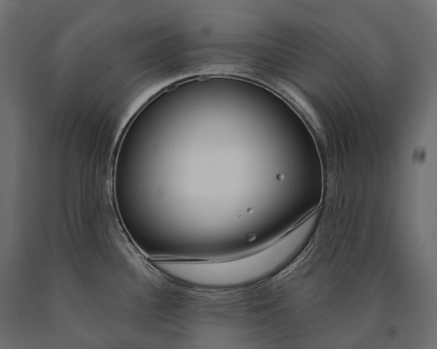 X0000090461340200708031232