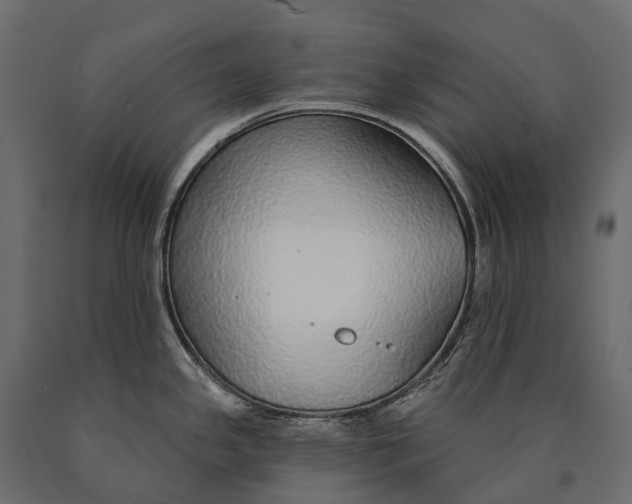 X0000090461341200708031232