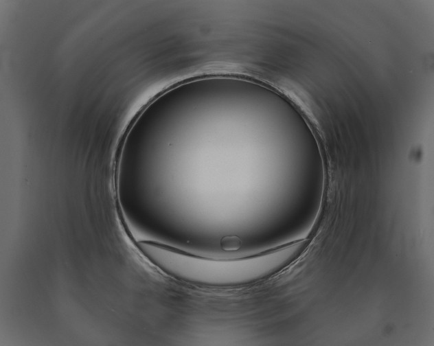 X0000090461342200708031232