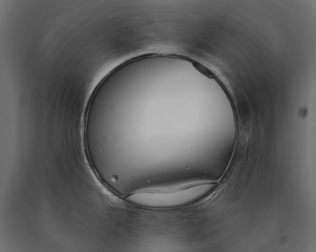X0000090461343200708031232