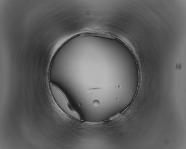X0000090461344200708031232
