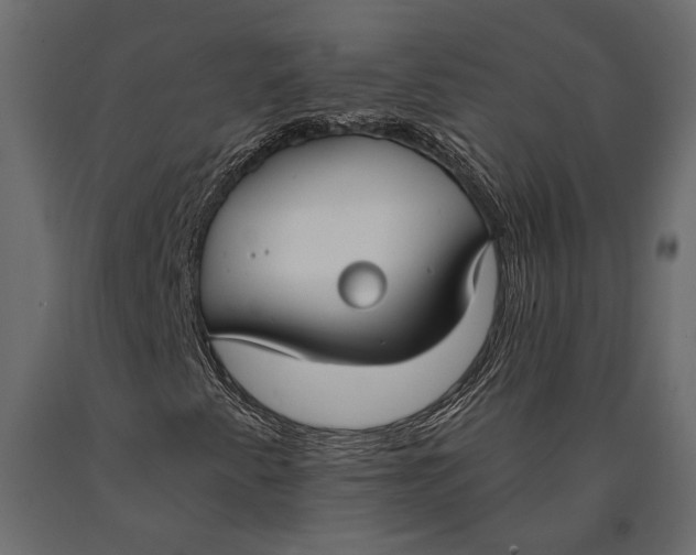 X0000090461345200708031231