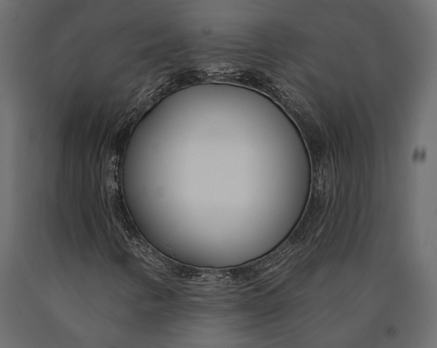 X0000090461346200708031231
