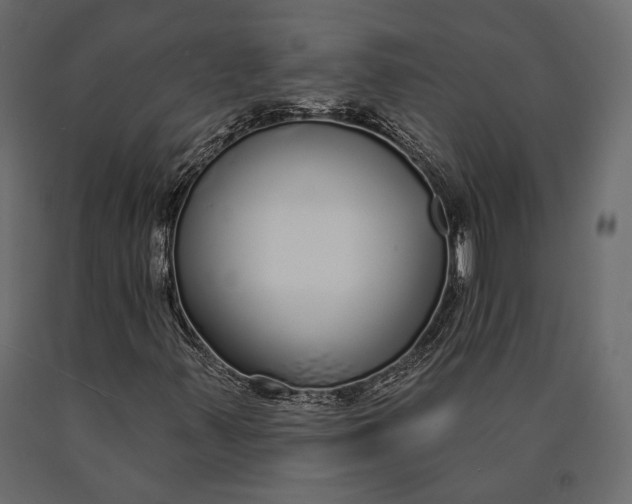 X0000090461347200708031231