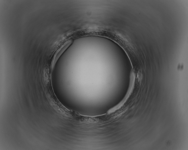 X0000090461348200708031231