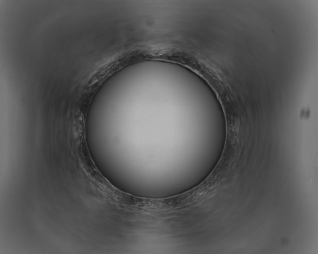 X0000090461349200708031231