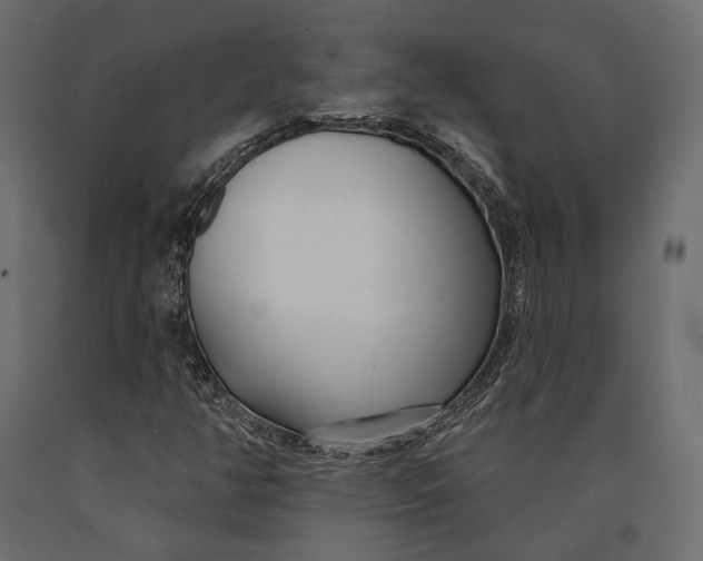 X0000090461350200708031231