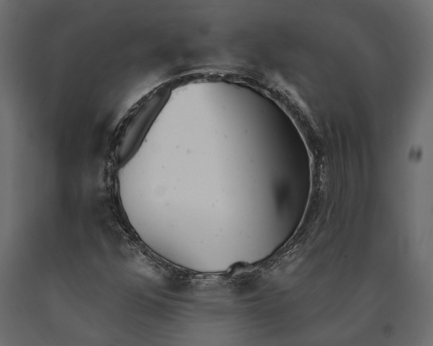 X0000090461352200708031231