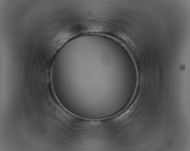 X0000090461353200708031231