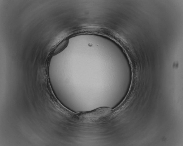 X0000090461354200708031231