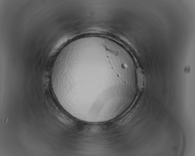 X0000090461355200708031231