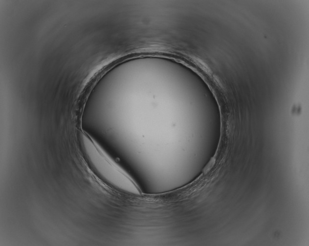 X0000090461356200708031231