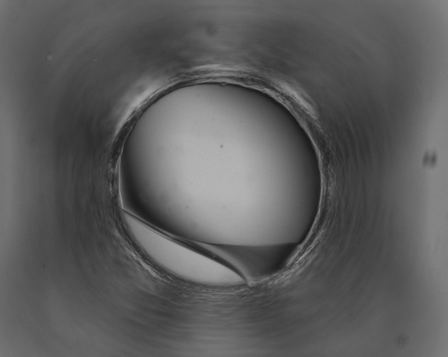 X0000090461357200708031231