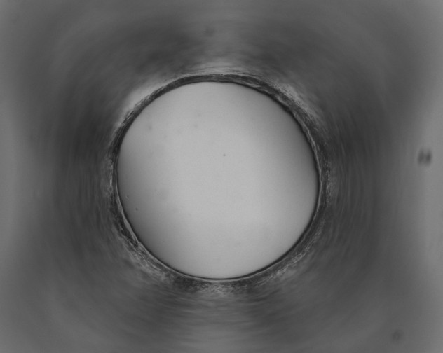 X0000090461358200708031231