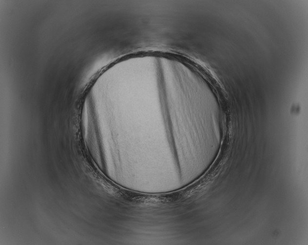 X0000090461359200708031231