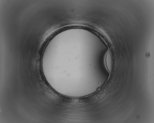 X0000090461360200708031231