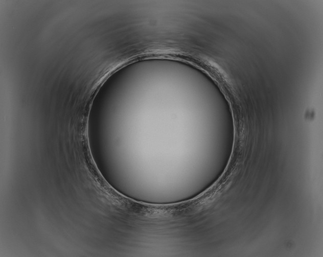X0000090461361200708031231