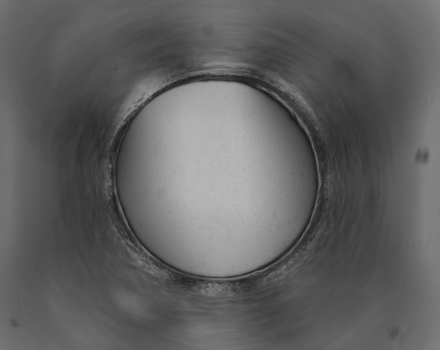 X0000090461362200708031231