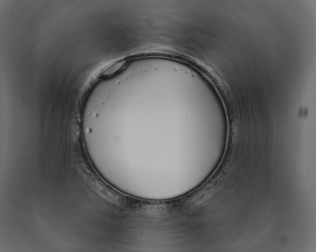 X0000090461363200708031231