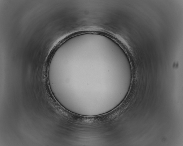 X0000090461364200708031231