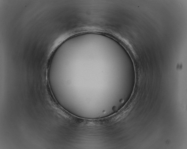 X0000090461365200708031231