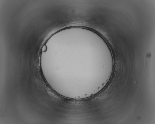 X0000090461366200708031231
