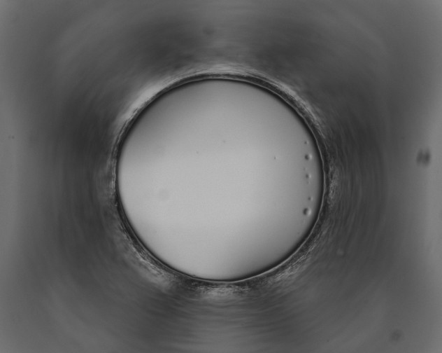 X0000090461367200708031231