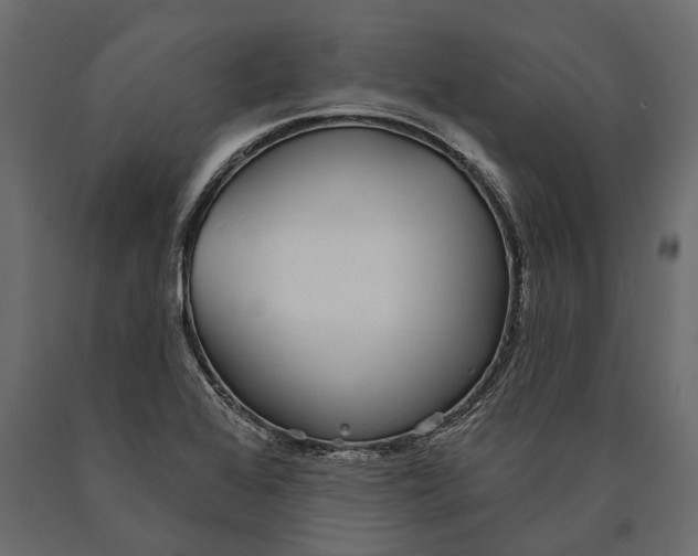X0000090461368200708031231