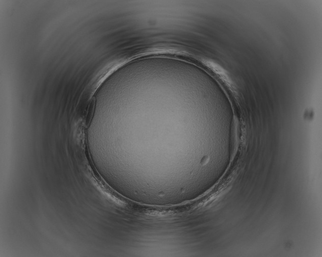 X0000090461369200708031231